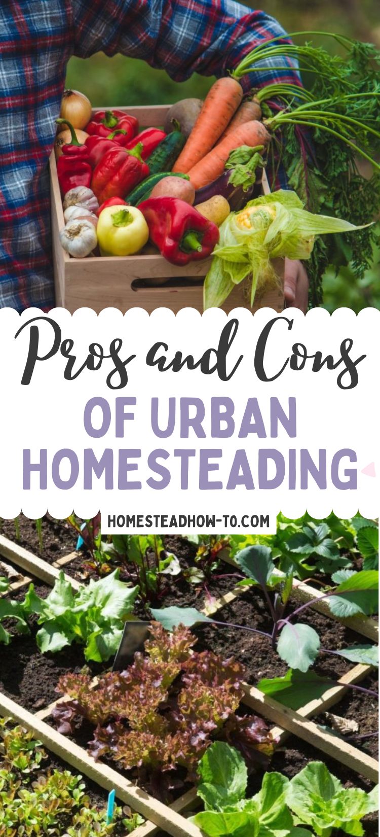 Why City Dwellers Are Turning To Urban Homesteading