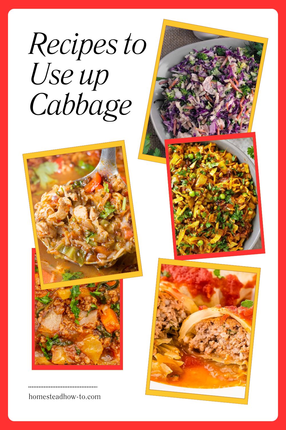 18 Recipes That Make Cabbage The Unexpected Star