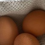 What Exactly Is a Pipped Egg