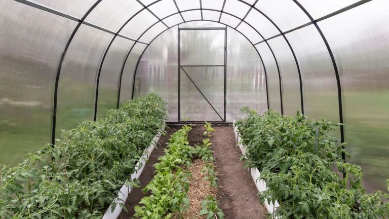 14 Smart Ways to Prepare for Food Shortages Without Panic Buying