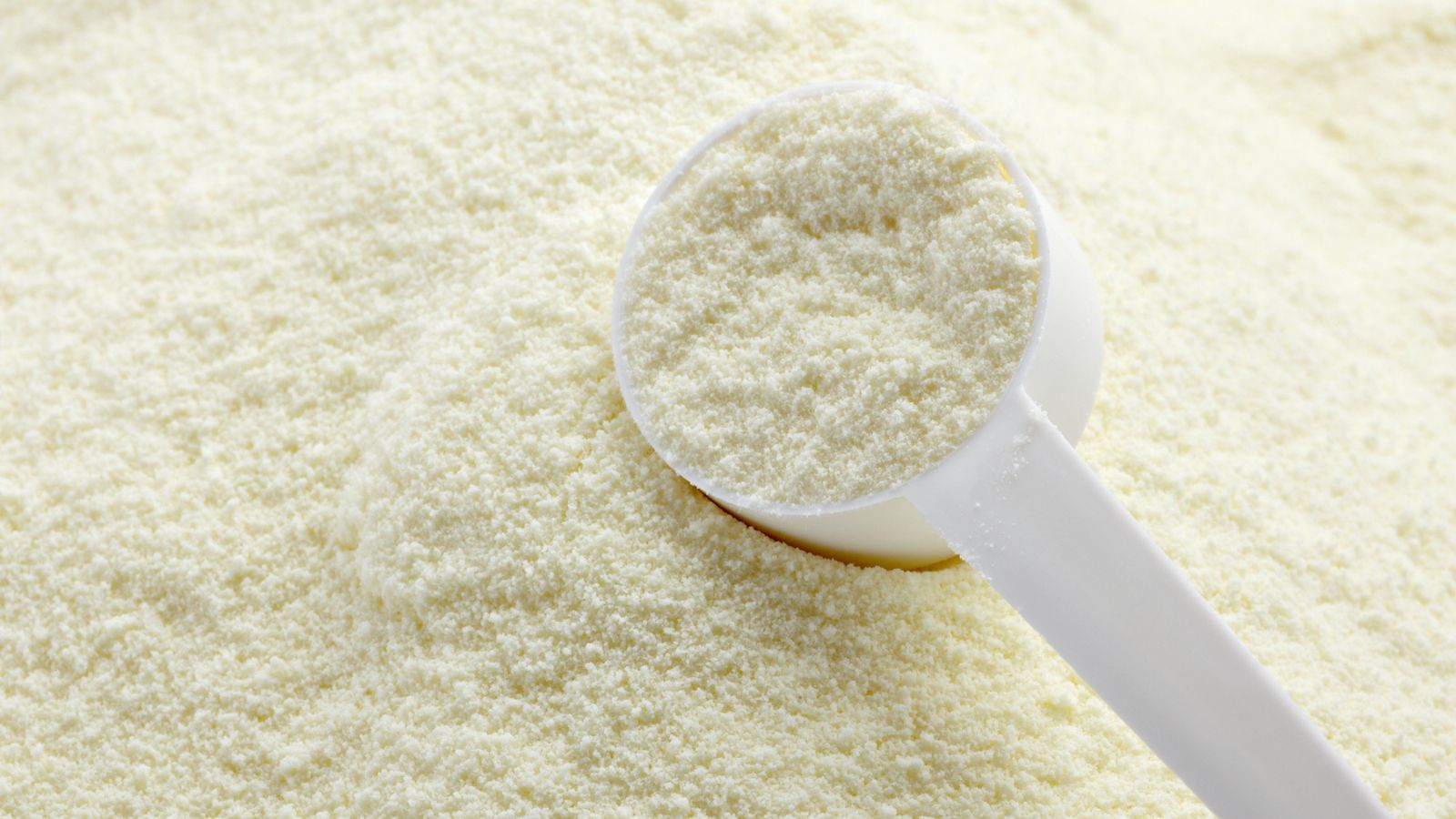 powdered milk