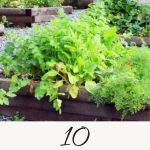 10 Cheap Mulch Ideas for Your Garden Beds Pin