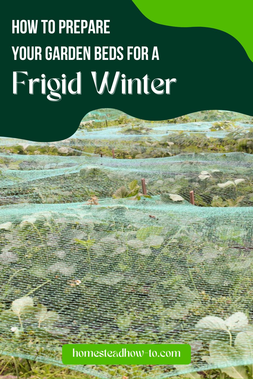 How To Prepare Your Garden Beds For A Frigid Winter
