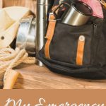 My Emergency Go Bad pin