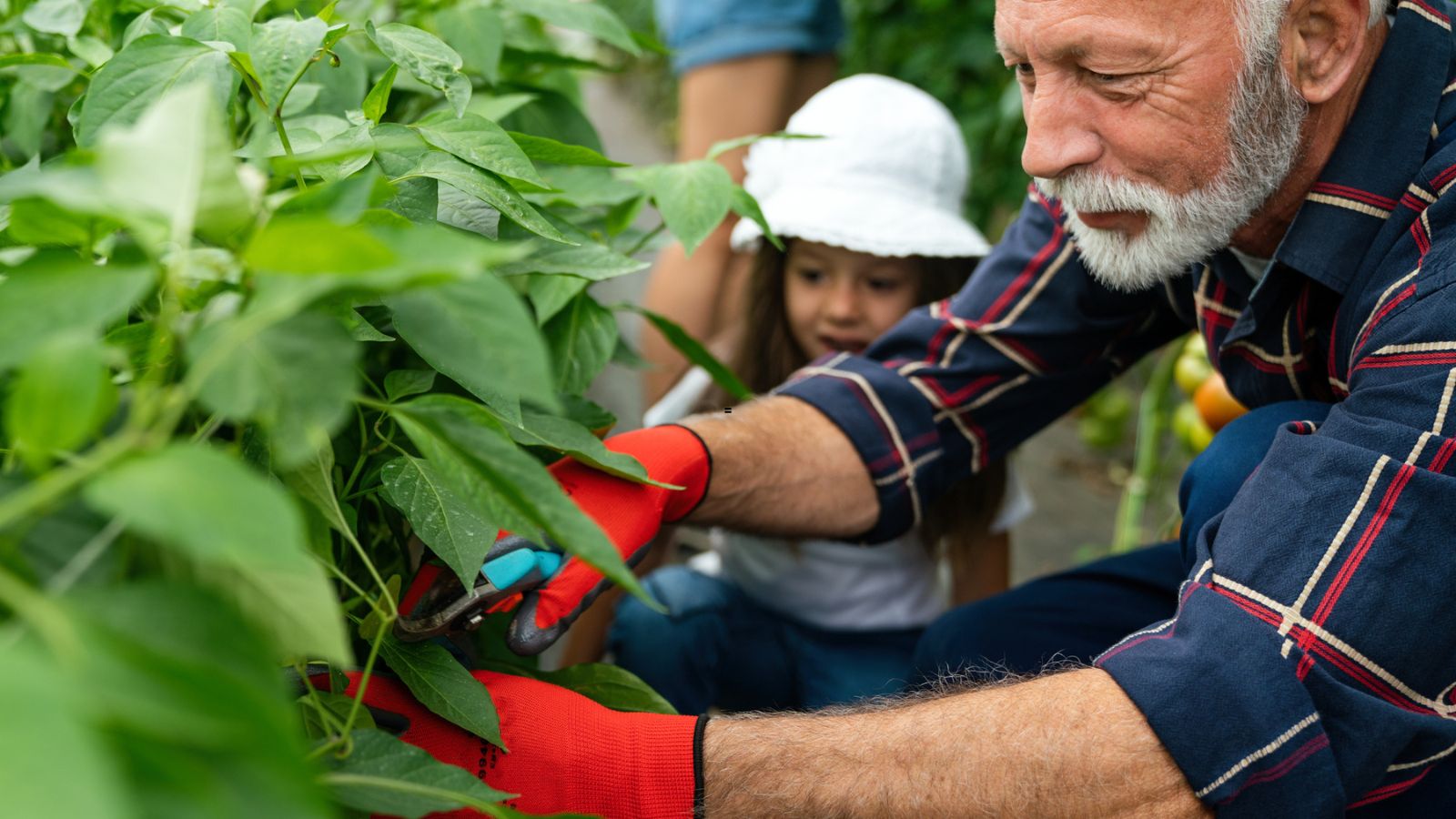 12 Old-School Habits That Can Help You Save More Money Today