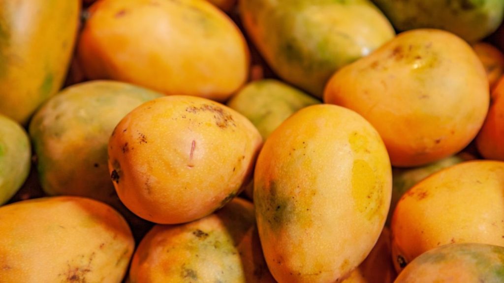 June’s Harvest Is Here—The Best Seasonal Produce to Eat All Month 2 pile of yellow mango 1200x675