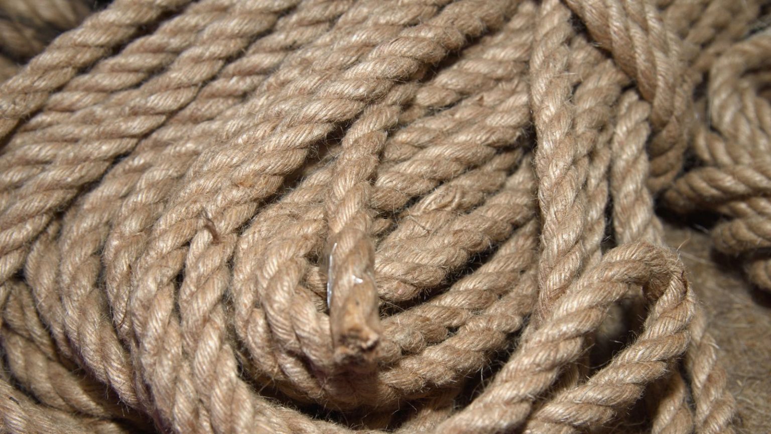 18 Primitive Skills From Our Ancestors That We Should All Learn