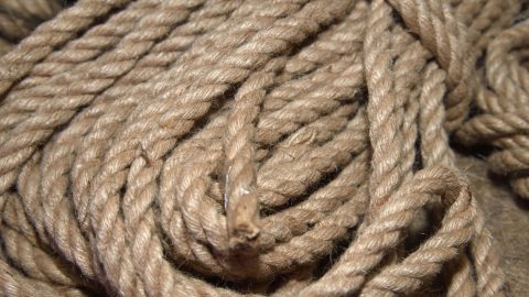 Primitive Roping 18 Primitive Skills From Our Ancestors That We Should All Learn