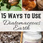 15 Ways to Use Diatomaceous Earth Around the Home and Garden Pin