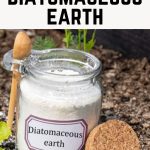 15 uses for diatomaceous earth