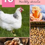 16 Lucrative Homestead Side Hustles to Boost Your Monthly Income