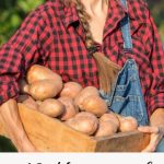 16 Lucrative Homestead Side Hustles to Boost Your Monthly Income Pin
