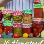 16 Lucrative Homestead Side Hustles to Boost Your Monthly Income Pin