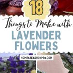 18 Things to Make with Lavender Flowers