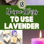 18 Unique Ways to Use Lavender