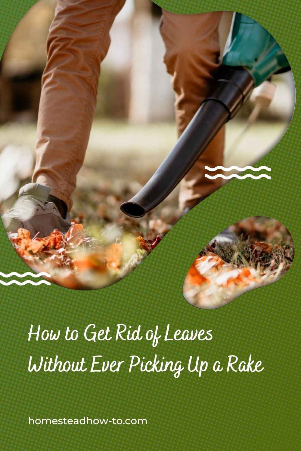 Fallen Rid How To Clean Up Fallen Autumn Leaves From Your Yard