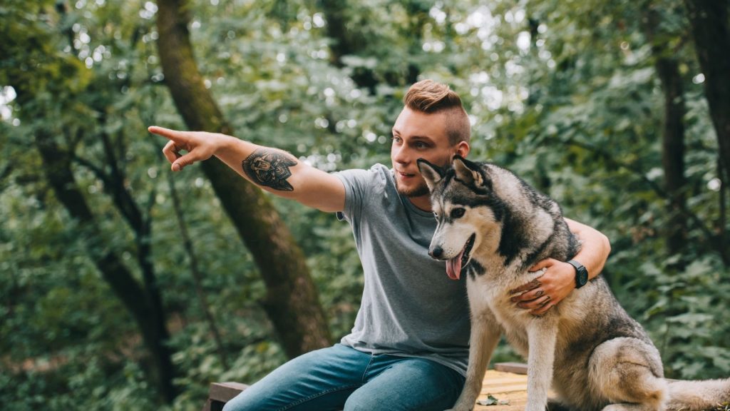 14 Dog Breeds That Make Excellent Companions for Preppers and Survivalists