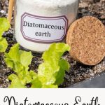 diatomaceous earth garden uses
