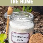 how to use diatomaceous earth around the home