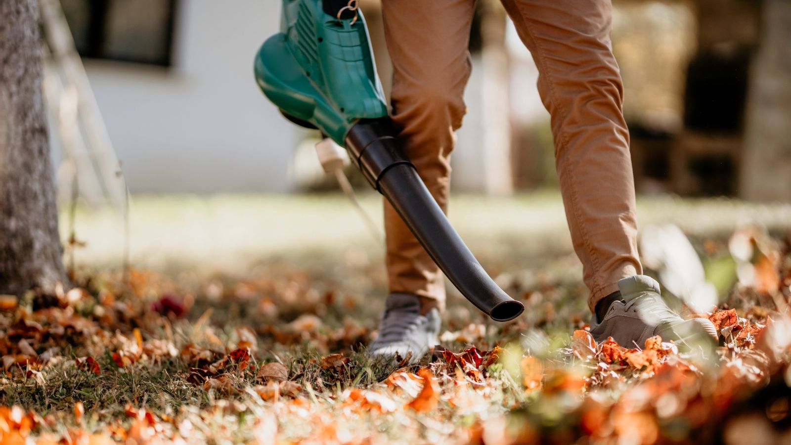 Finally, a Gardening Chore You Have Permission to Skip