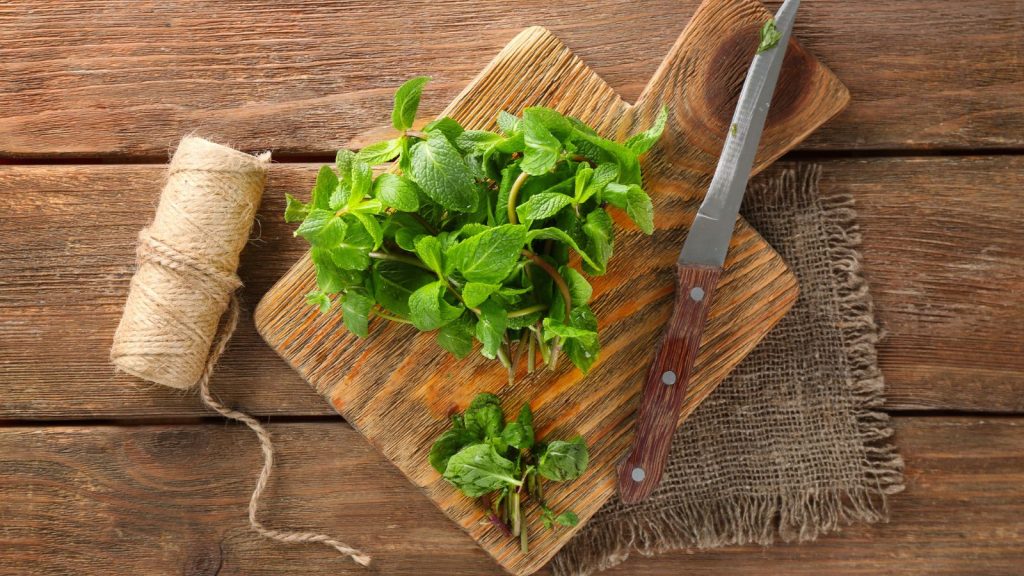 18 Surprising Uses for Hydrogen Peroxide Everyone Should Know 1 lemon balm on cutting board