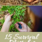 15 Survival Mistakes That Could Be Fatal in the Wild