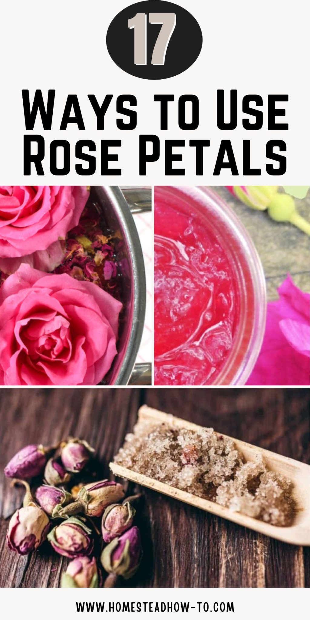 How To Save Roses 17 Brilliant Ways To Keep Rose Petals From Going To Waste
