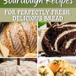 17 Sourdough Recipes for Perfectly Fresh, Delicious Bread