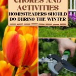 20 Chores and Activities Homesteaders Should Do During the Winter