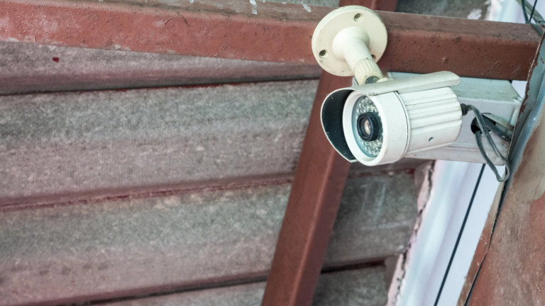 5 Best Outdoor Cameras to Monitor Your Chicken Coops