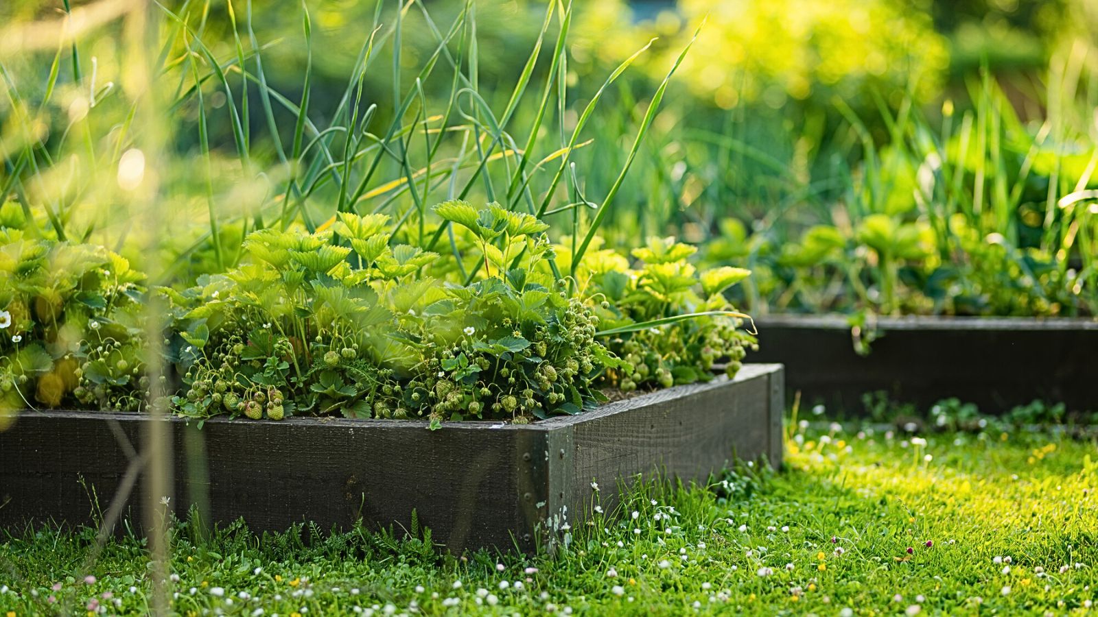 20 Winter Chores To Do Before Your Spring Garden