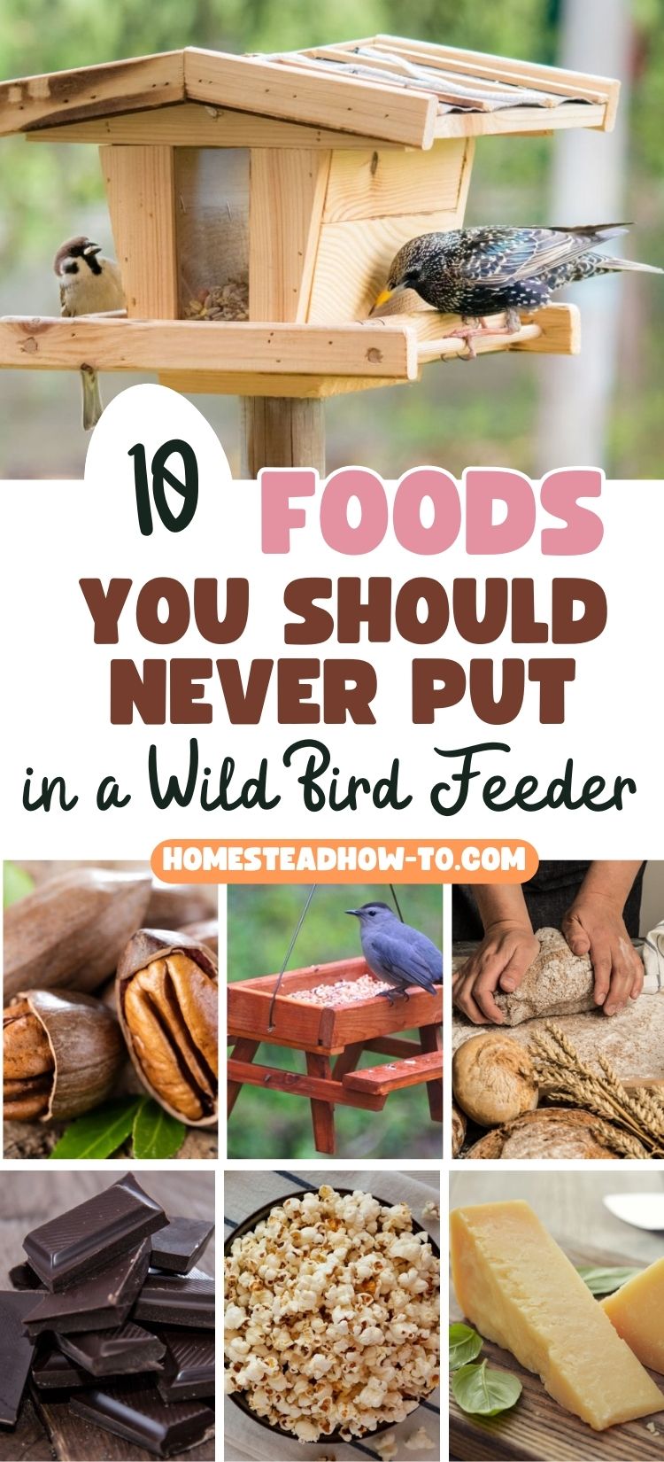 10 Foods You Should Never Put In A Wild Bird Feeder