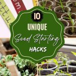 10 Unique Seed Starting Hacks