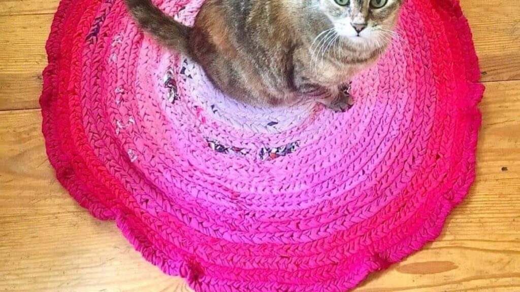 24 Cool Things To Make from Your Old, Worn-Out Clothes 24 Pink rug