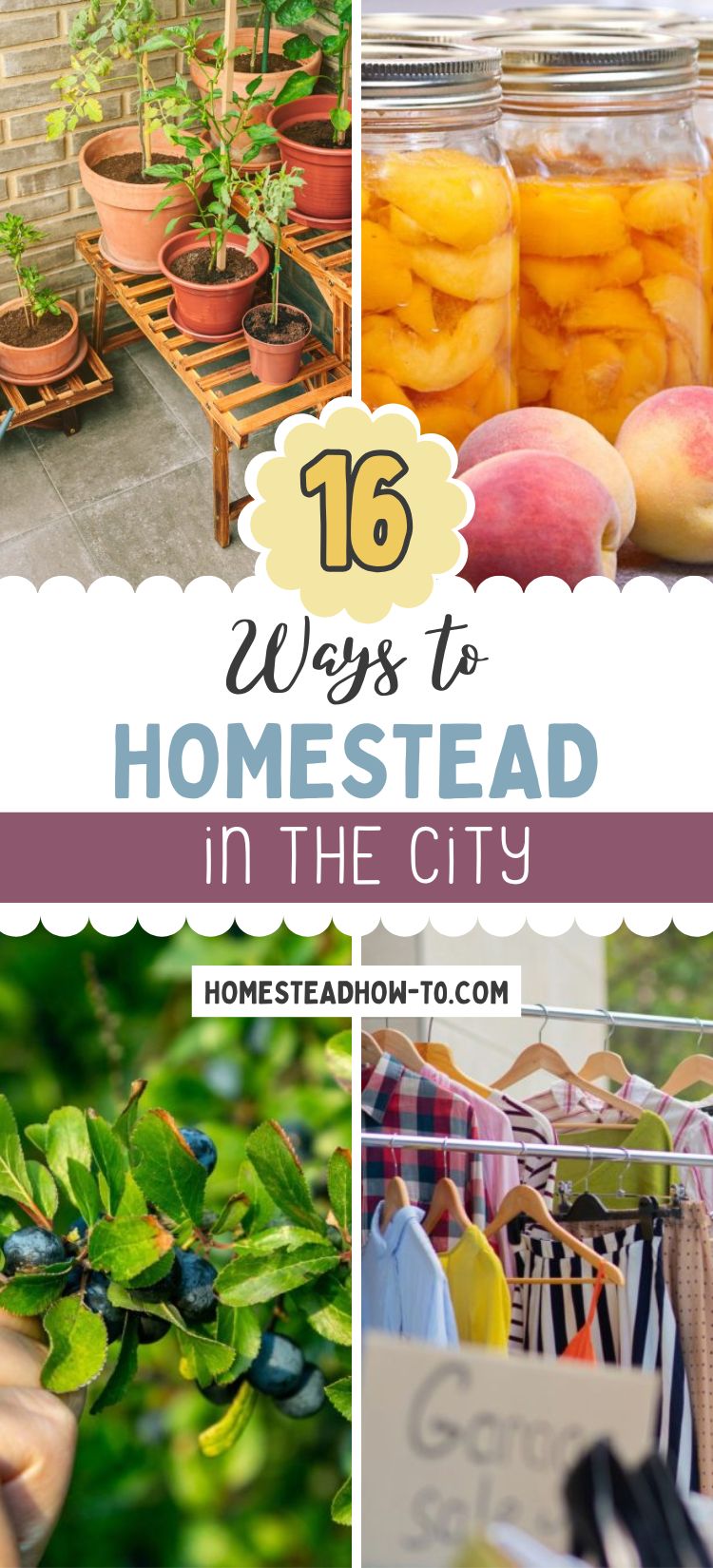 Stunning Urban Homestead Penthouse Apartments image