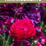 24 Colorful Perennials to Grow for Fresh Flower Arrangements