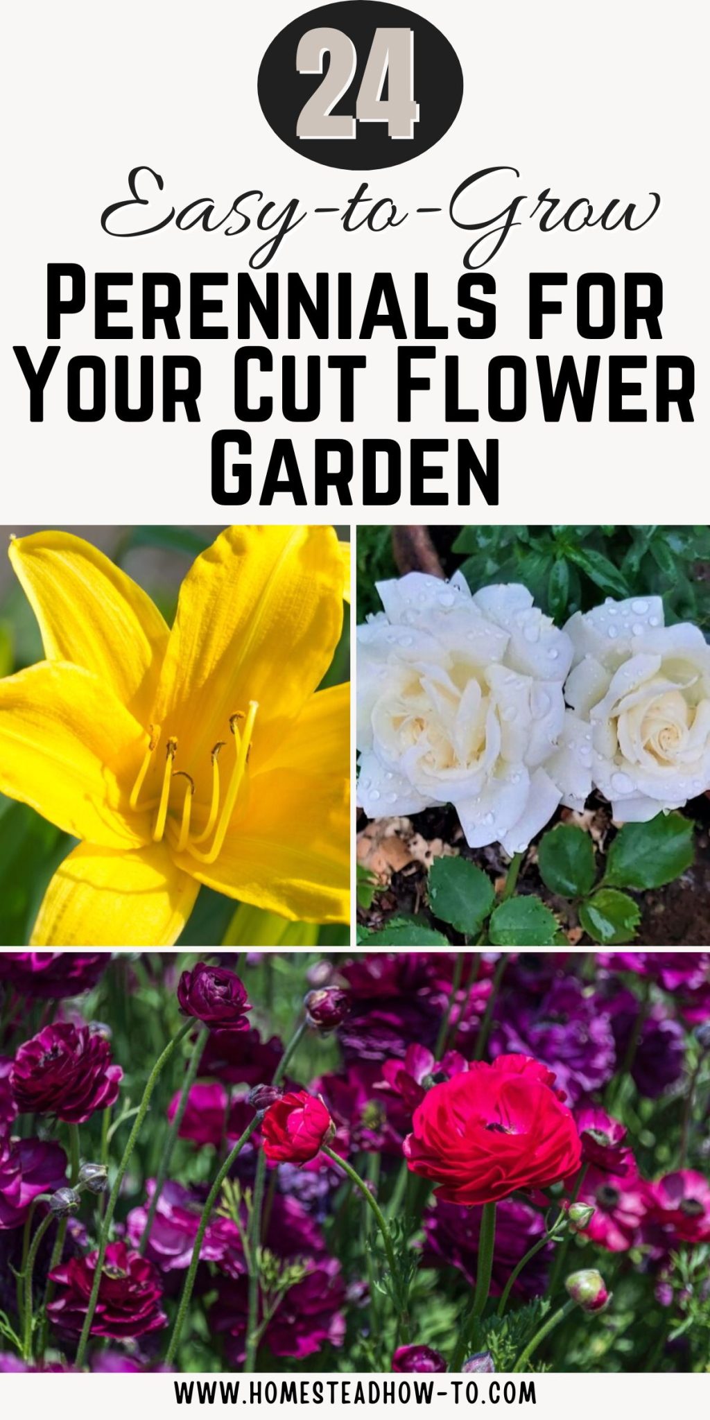 25 Easy-to-Grow Perennials For Your Cut Flower Garden