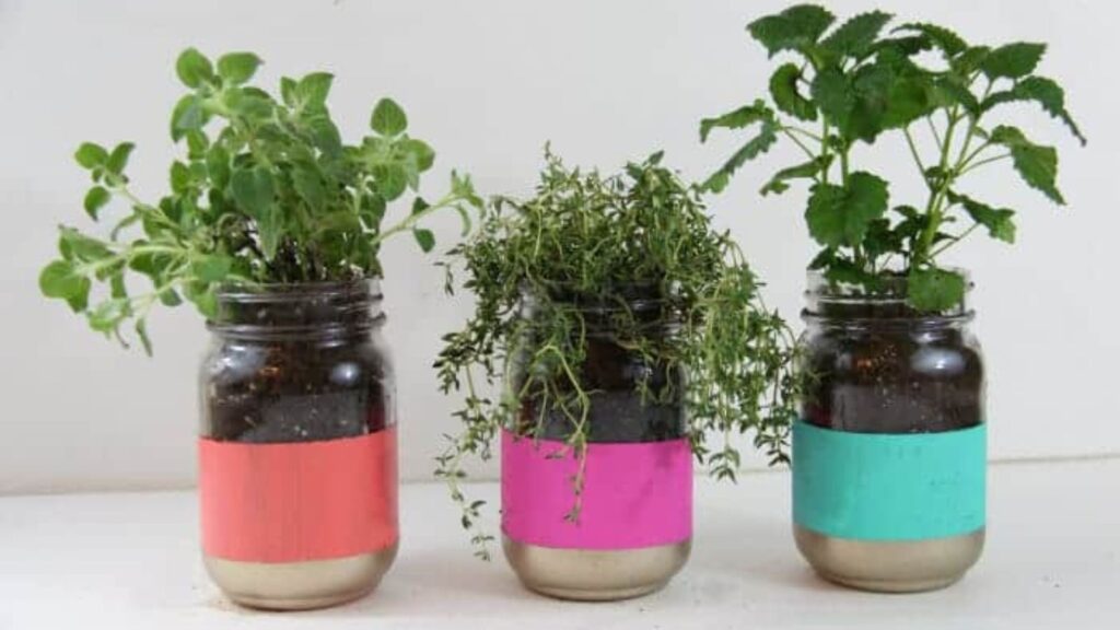 10 Unusual Things Around Your House You Can Use for Seed Starting 6 BRIGHT COLORED MASON JAR HERB GARDEN