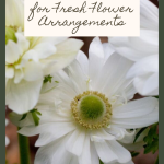 24 Colorful Perennials to Grow for Fresh Flower Arrangements