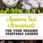 Awesome Soil Amendments for Your Organic Vegetable Garden