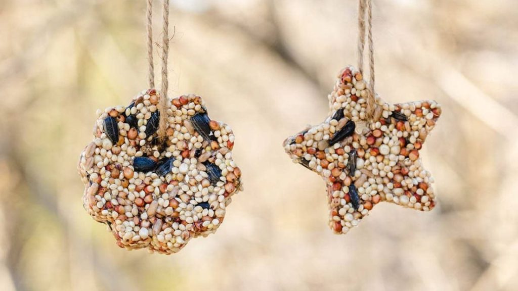 14 Homemade Bird Feeders to Fill Your Garden With Beautiful Birds 3 Birdseed Ornaments