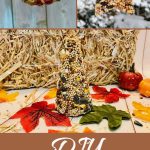 DIY Bird Feeder Ideas