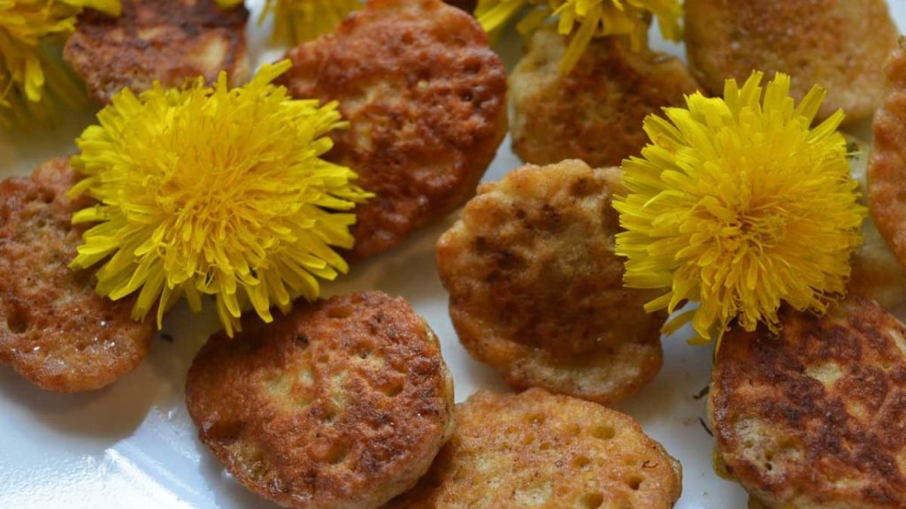 12 Rich Dandelion Recipes to Take from Your Garden to the Table 6 Easy Dandelion Fritter Recipe with Gluten Free Option
