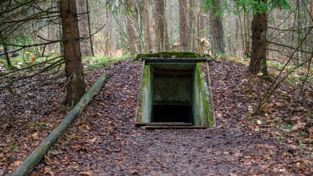 15 Safest Places for Preppers to Live When the SHTF 11 Entrance to underground military bunker in the forest. Former concrete dugout in woodland used during the wa
