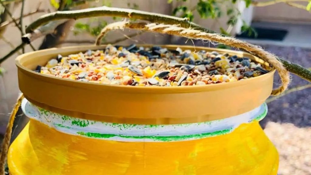 14 Homemade Bird Feeders to Fill Your Garden With Beautiful Birds 2 Frugal Bird Feeder Plans