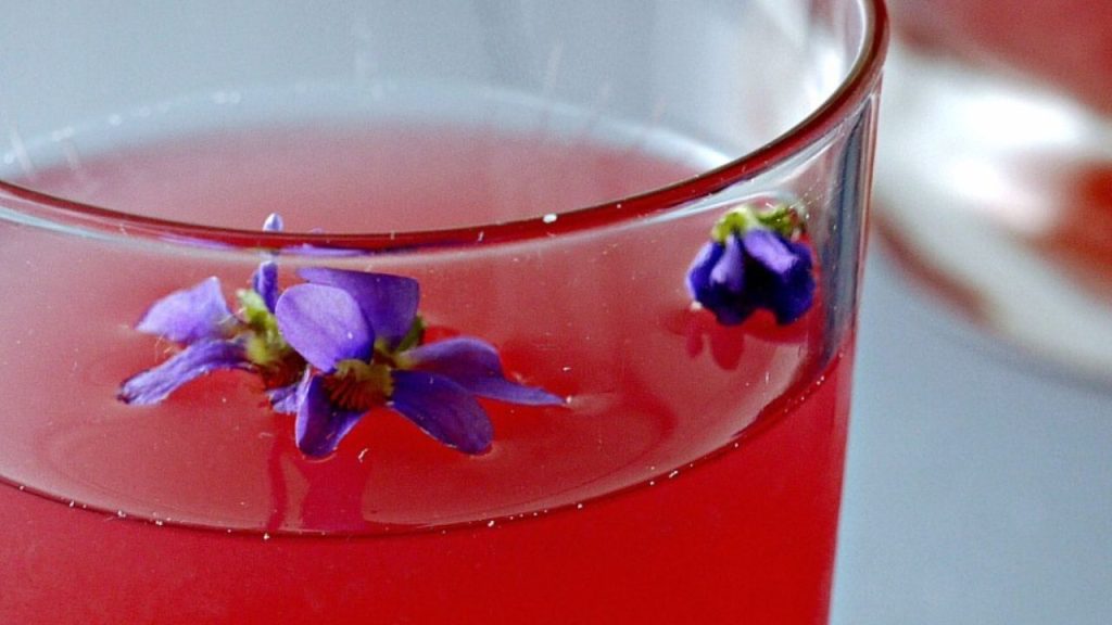 12 Rich Dandelion Recipes to Take from Your Garden to the Table 9 Homemade Violet and Dandelion Pink Lemonade
