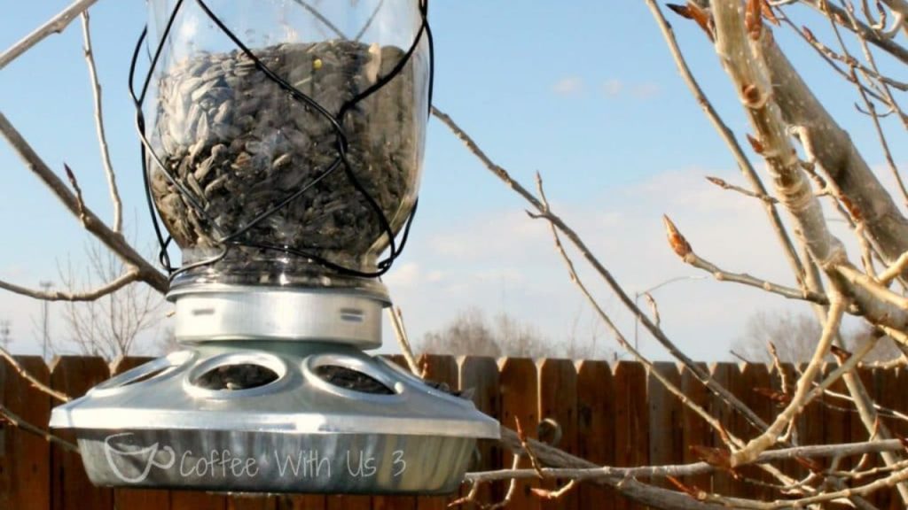 14 Homemade Bird Feeders to Fill Your Garden With Beautiful Birds 9 Mason Jar Bird Feeders