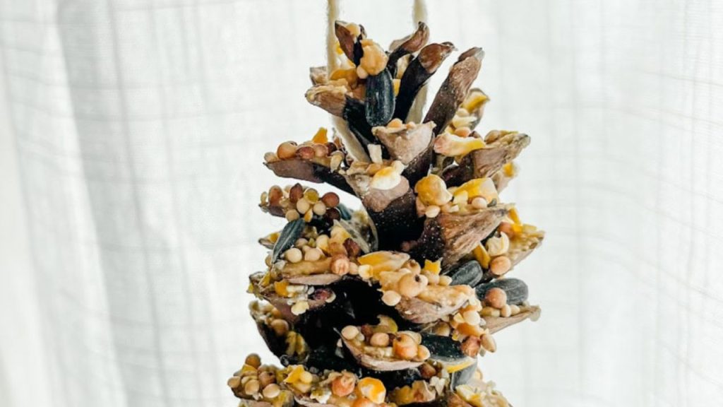 14 Homemade Bird Feeders to Fill Your Garden With Beautiful Birds 10 Pinecone Bird Feeder with Peanut Butter