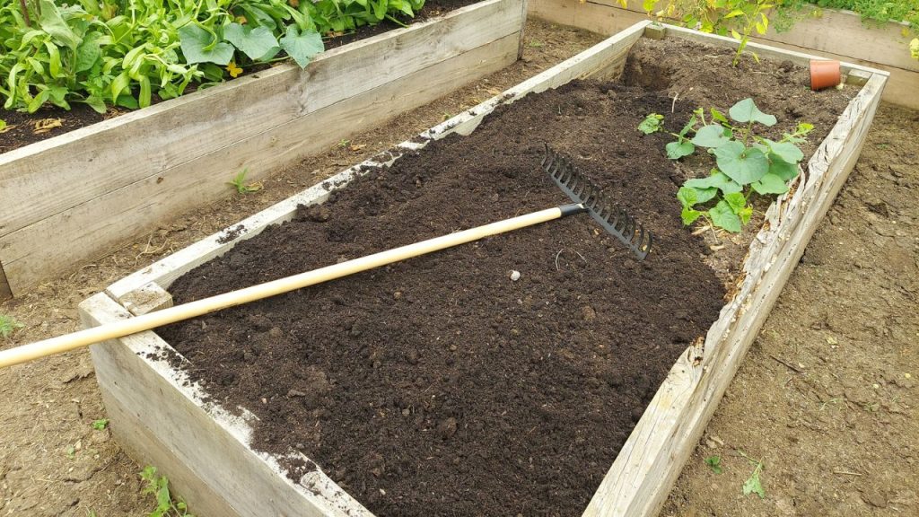 How To Fill a Raised Garden Bed for a Successful Harvest 4 Preparing a wooden bed for growing in the backyard garden. rake preparing the soil for planting seeds at home