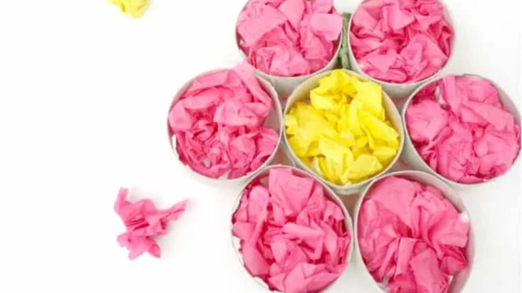 Tissue Paper Cardboard Flowers